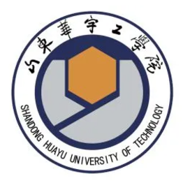 山东华宇工学院